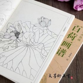 百荷画谱 中国画线描工笔画底稿白描花卉荷花图集 百花画谱