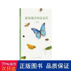 被你嫌弃的昆虫们 大中专文科新闻 ()海野和男 新华正版