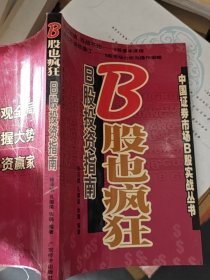 B股也瘋狂:B股投資指南