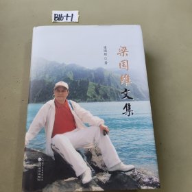 梁國(guó)維文集