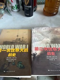 第一次世界大战战史 两册合售