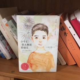 少年们想从侧面看烟花