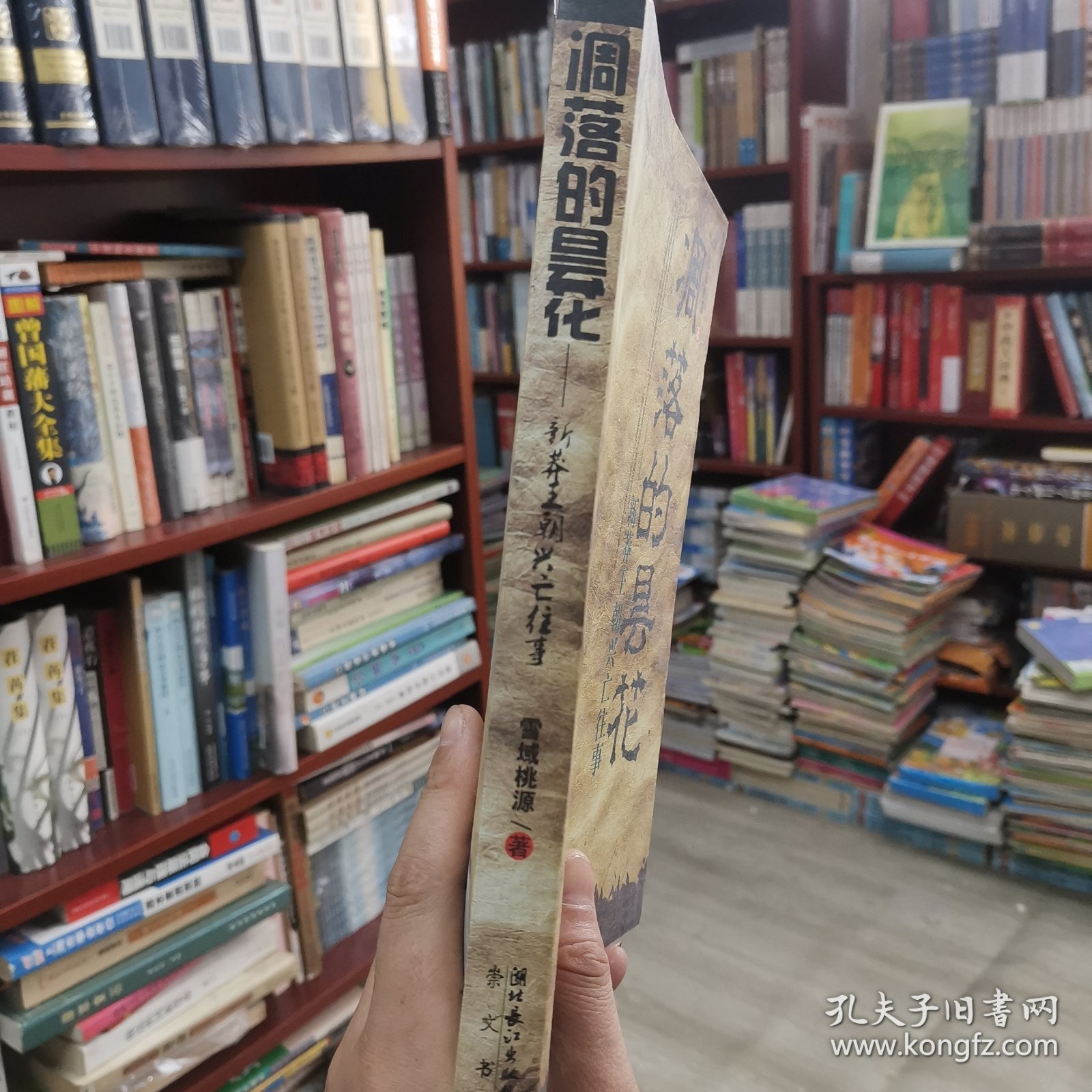 凋落的昙花:新莽王朝兴亡往事