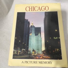 Chicago A Picture Memory