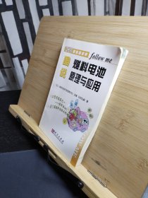 轻松跟我学：图说燃料电池原理与应用