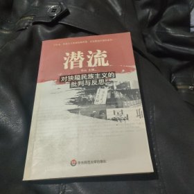 潜流：对狭隘民族主义的批判与反思