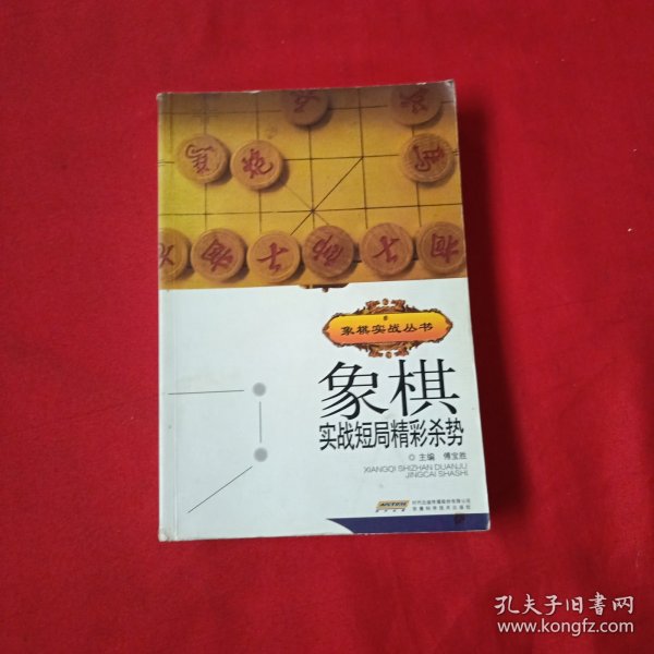 象棋实战短局精彩杀势