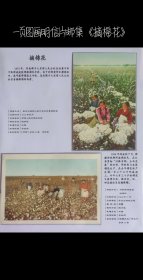 一页图画明信片邮集《摘棉花》