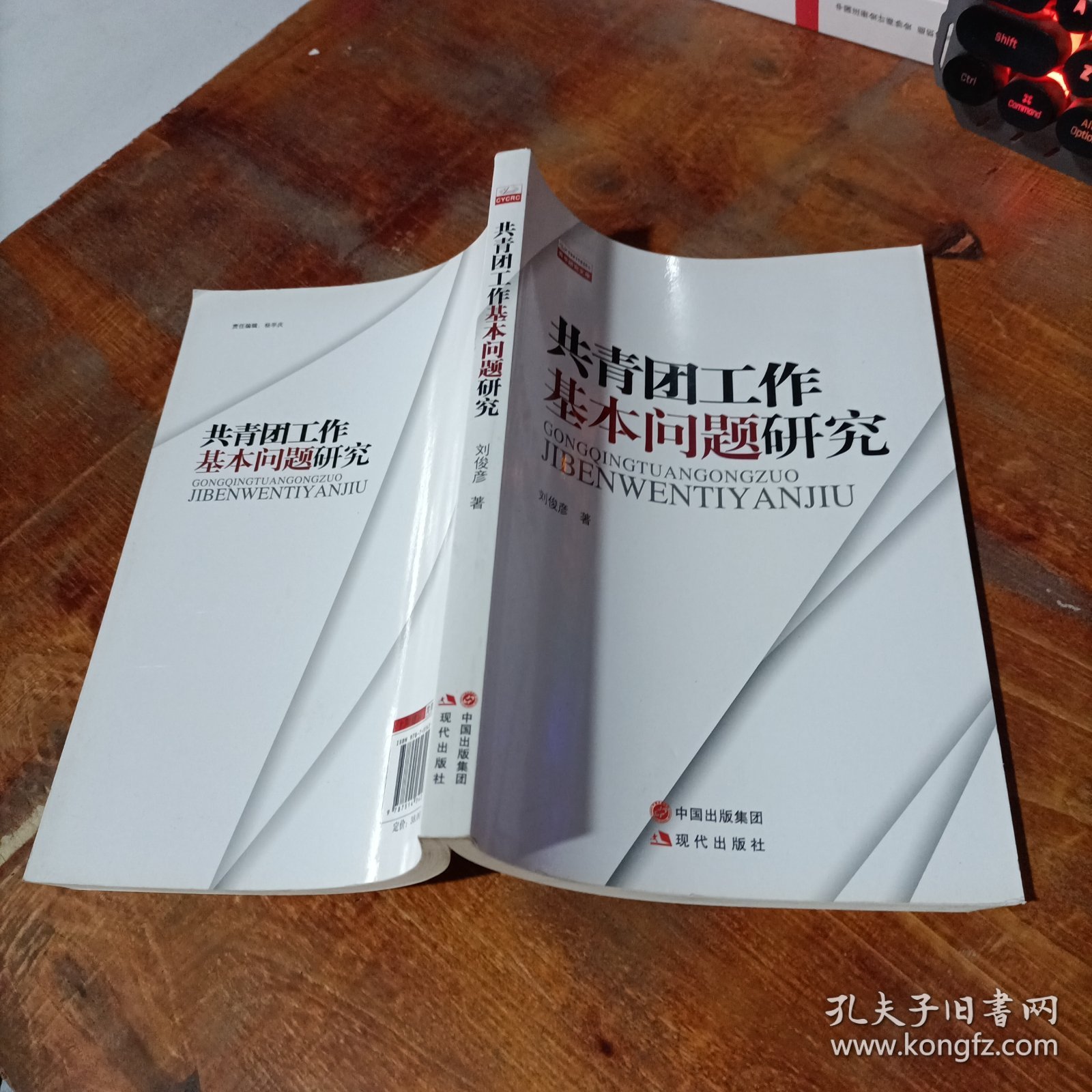 共青团工作基本问题研究