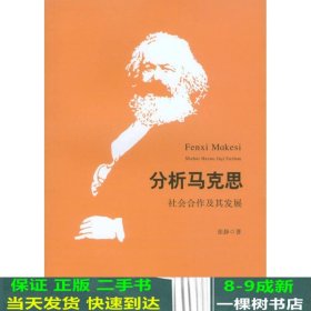 分析马克思：社会合作及其发展