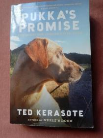 Ted Kerasote
Pukka's Promise: The Quest for Longer-Lived Dogs (English Edition)寻找寿命更长的狗