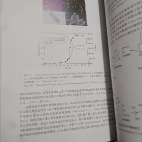 海洋微型生物生态学