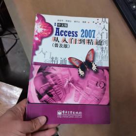 中文版Access 2007从入门到精通（普及版）