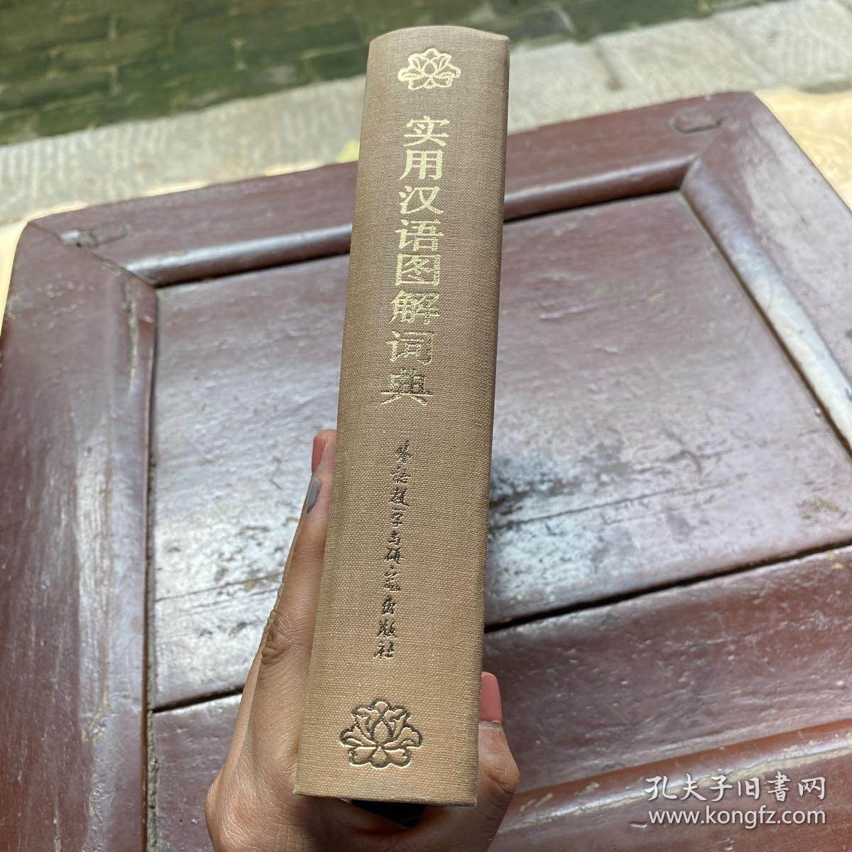 实用汉语图解词典