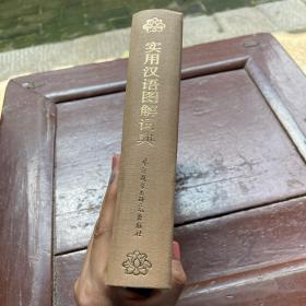 实用汉语图解词典