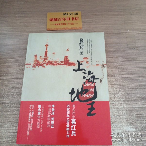 上海地王：(全国30多家报纸争相连载,上海滩神秘地产富豪戴志康强力推荐,揭示一代地王产生真相的超人气力作)