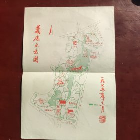 1975年上海虹口公园(鲁迅公园)菊展示意图一张