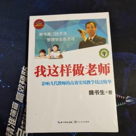 我这样做老师：影响几代教师的高效实用教学技法精华/大教育书系