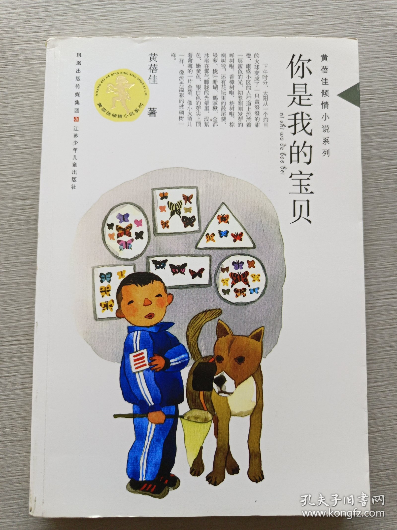 黄蓓佳倾情小说系列：你是我的宝贝