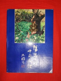 老版经典丨阳光下的中国人体（全一册）