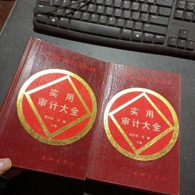 实用审计大全 上下——n1