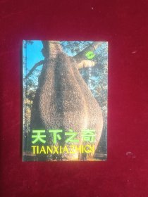 天下之奇(精装)