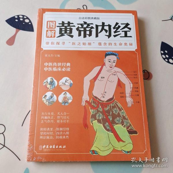 图解黄帝内经（白话彩图典藏版）