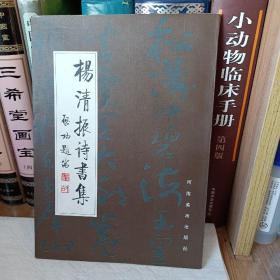 杨清振诗书集（启功题写书名，1999年一版一印，印数4000册）