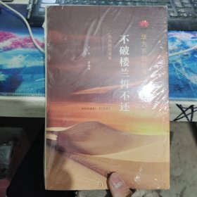 华为系列故事：不破楼兰誓不还