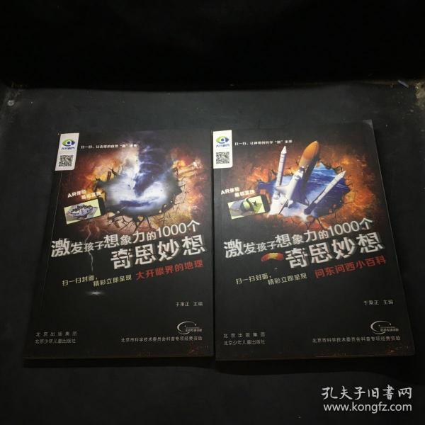 激发孩子想象力的1000个奇思妙想  大开眼界的地理