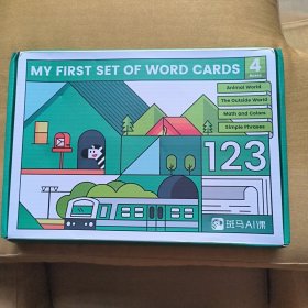 MY FIRST SET OF WORD CARDS 我的第一次单词卡片 4盒