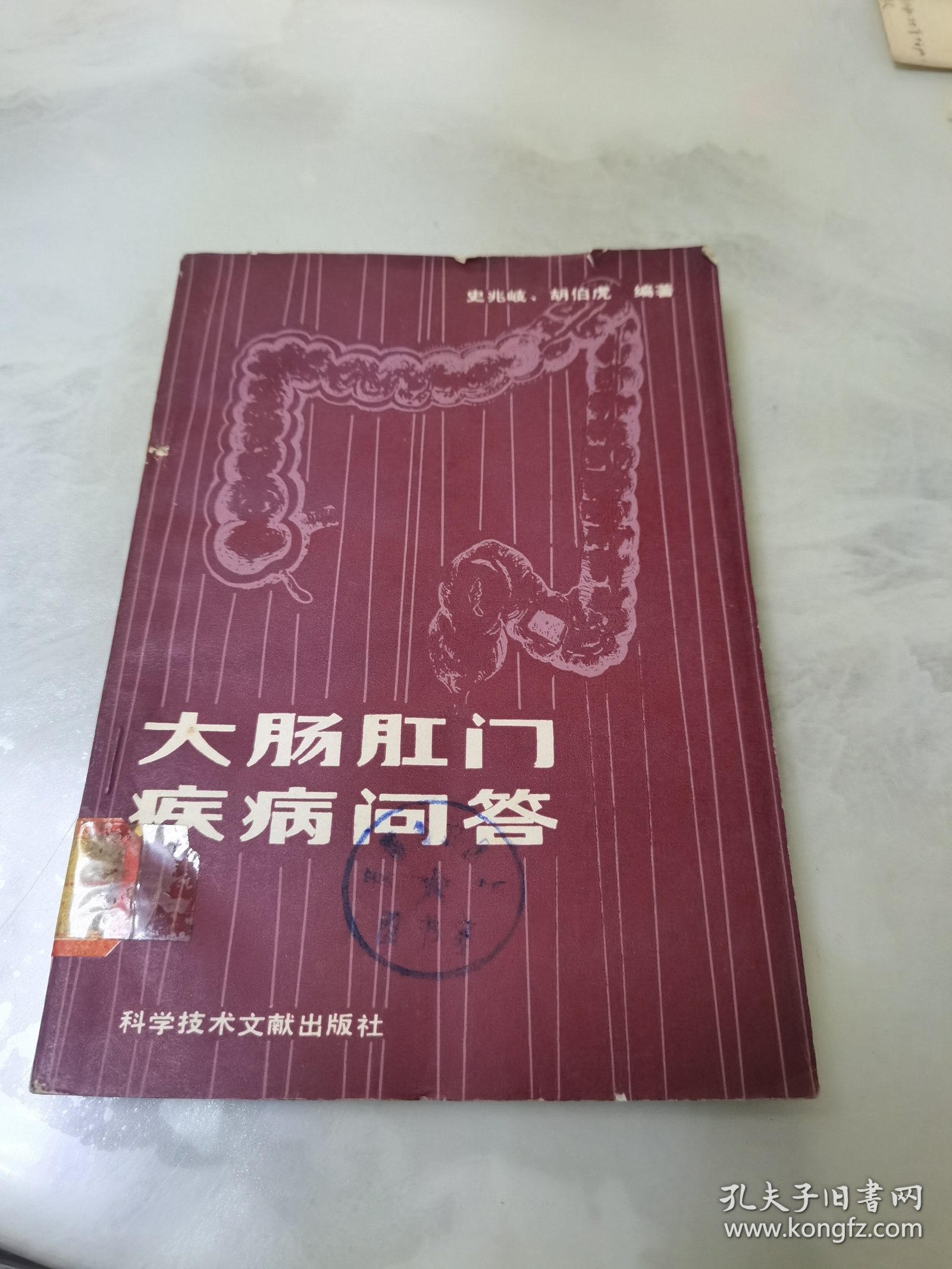 大肠肛门疾病问答