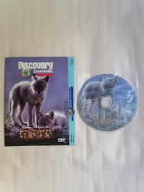 野狼扑击（DVD单碟装，只接受快递方式发货）