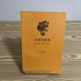 亲爱的提奥：凡高自传