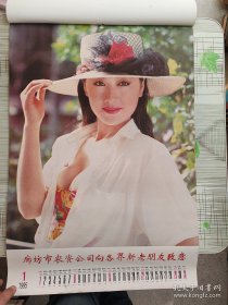 1995年挂历.明星影星名模美女.瞿颖高宝宝田岷谭小燕茹萍郑爽林小杰于慧等13张全.对开.