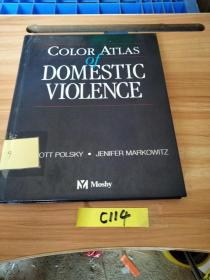 家庭暴力彩色图谱：Color Atlas of Domestic Violence