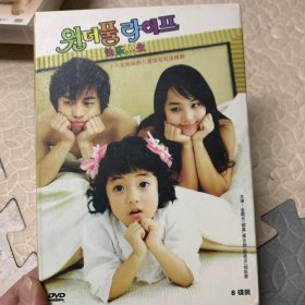 盒装韩剧 快乐人生 DVD