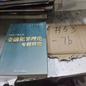 金融犯罪理论专题研究——法学专题系列