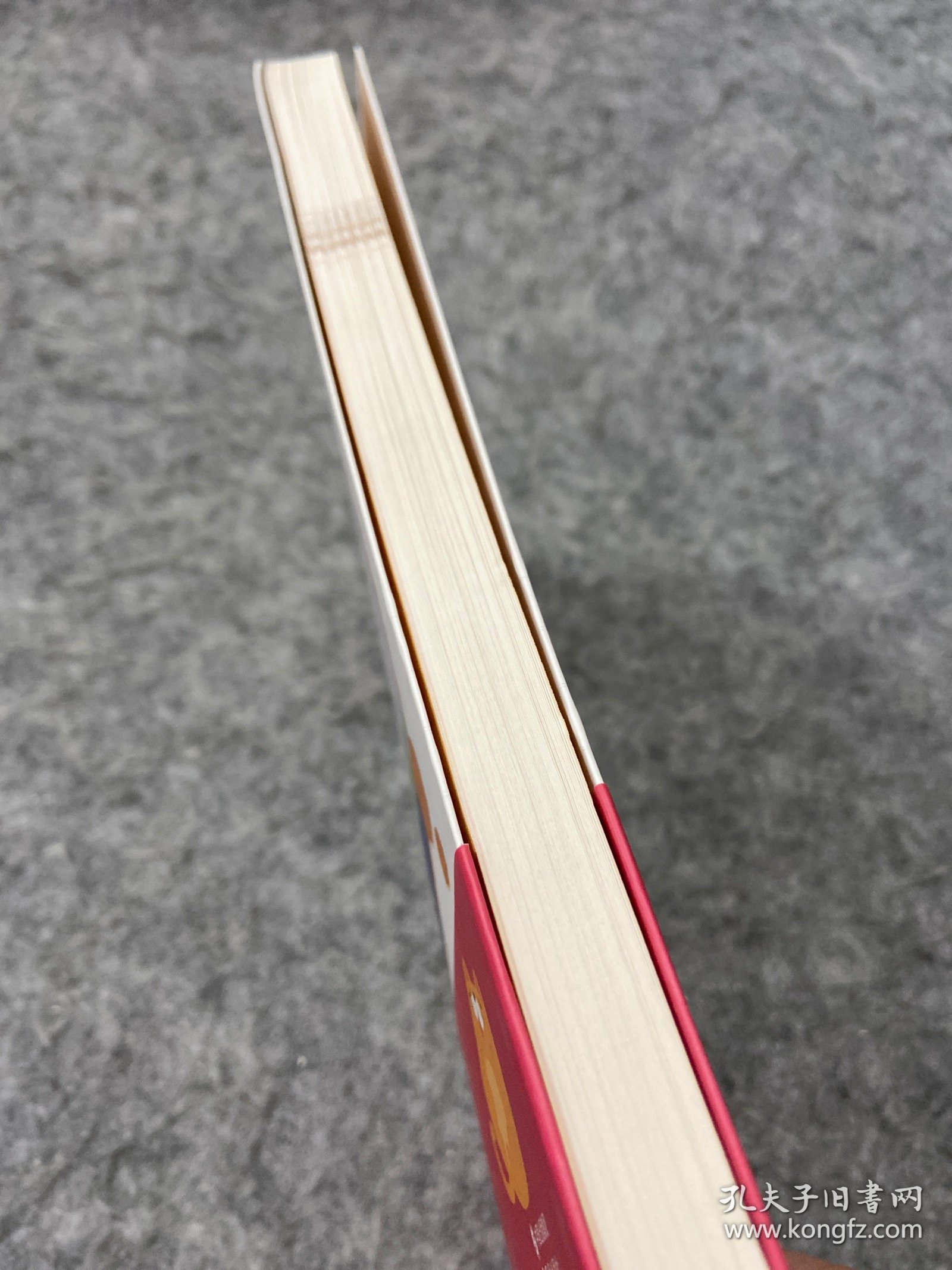 大猫老师的创意作文课