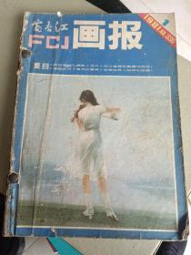 《富春江画报（1981年全12期）》16开，合订本，如图！东墙（6）