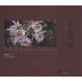 山花烂漫 摄影作品 施晓春 新华正版