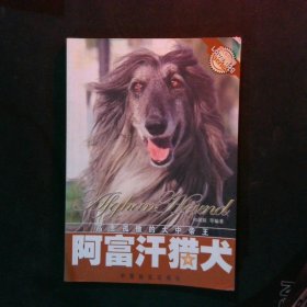 阿富汗猎犬