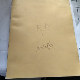 赛鸽档案年鉴2018至2019（没有封皮，有字迹，如图。内页完好）