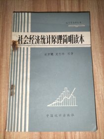 社会经济统计原理简明读本【统计员自学丛书】