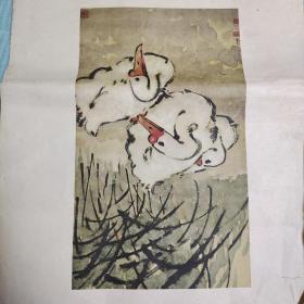 小鸭子徐悲鸿