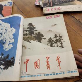 中国青年1981年13.14.15.16.20.21.22.23-24合刊（8本9期，私人合订本第23期总目录被撕掉四页