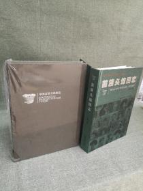 正版中国贵州少数民族非物质文化遗产图像人类学记录丛书  苗族头饰图志原价450特惠价188