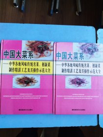 中国大菜系 中华各地风味传统名菜、创新菜制作精湛工艺及其操作示范大全 上下