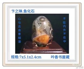 马达加斯加玛瑙奇石《卞之琳：鱼化石》底座为电脑PK。