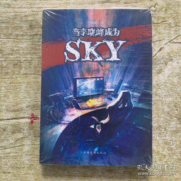 当李晓峰成为SKY